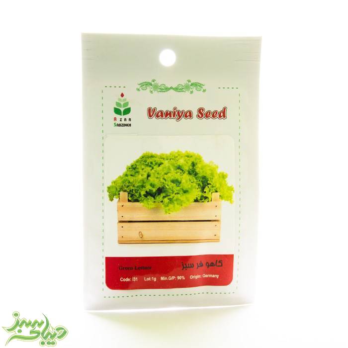 تصویر  بذر کاهو فر سبز