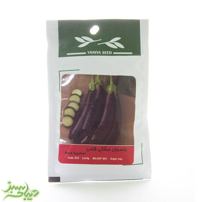 تصویر  بذر بادمجان مشکی قلمی