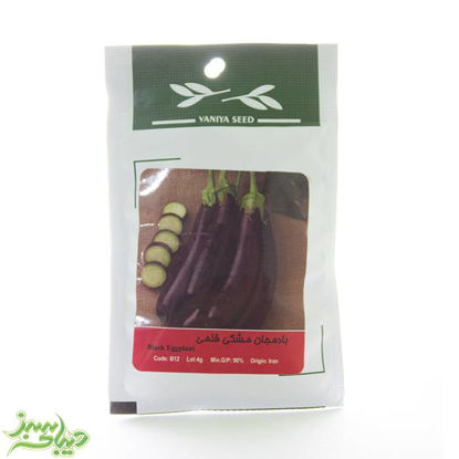 تصویر  بذر بادمجان مشکی قلمی