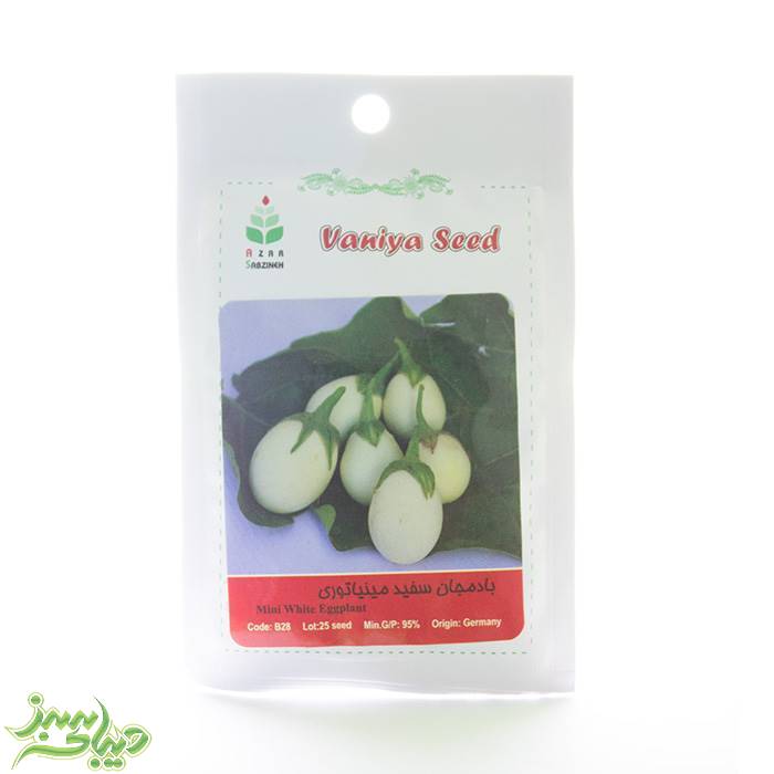 تصویر  بذر بادمجان سفید مینیاتوری