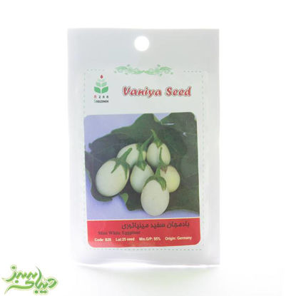 تصویر  بذر بادمجان سفید مینیاتوری