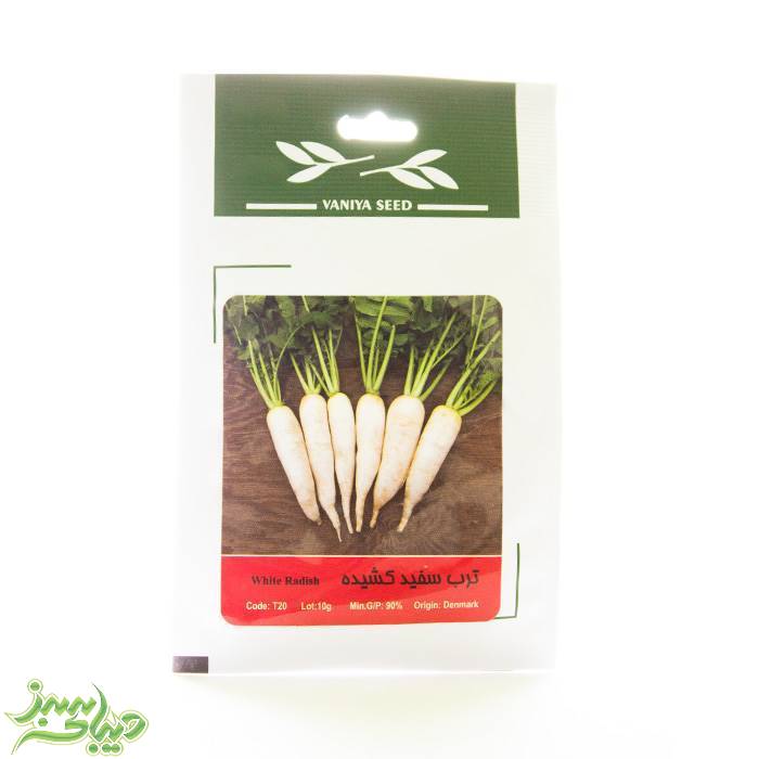 تصویر  بذر ترب سفید کشیده