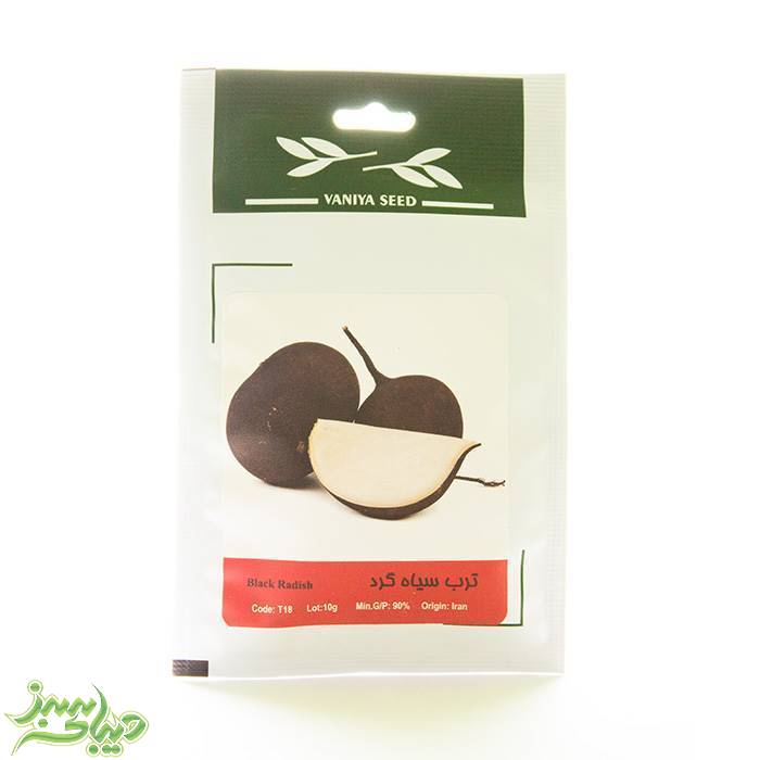 تصویر  بذر ترب سیاه گرد