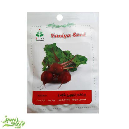 تصویر  بذر چغندر لبویی قرمز