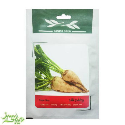 تصویر  بذر چغندر قند