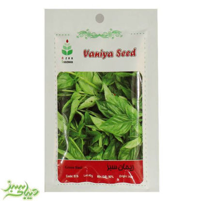 تصویر  بذر ریحان سبز