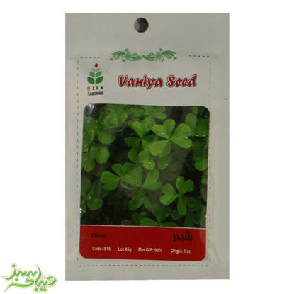 تصویر  بذر شبدر