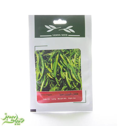 تصویر  بذر فلفل شیرین سبز
