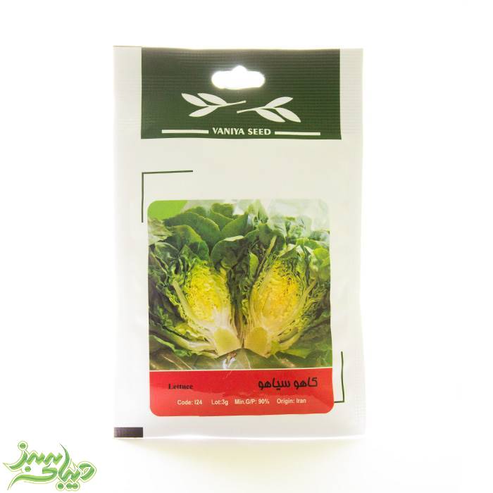 تصویر  بذر کاهو سیاهو