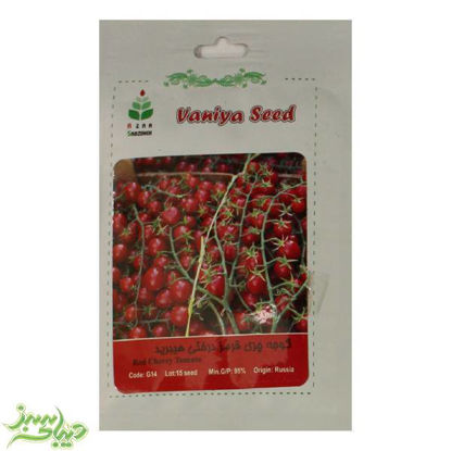 تصویر  بذر گوجه چری قرمز درختی هیبرید