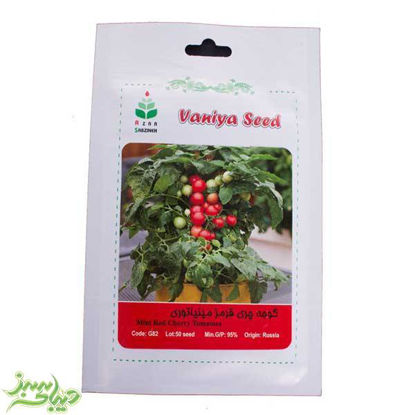 تصویر  بذر گوجه چری قرمز مینیاتوری