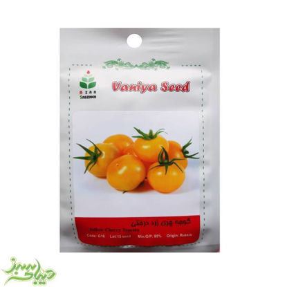 تصویر  بذر گوجه چری زرد درختی