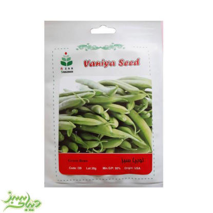 تصویر  بذر لوبیا سبز 