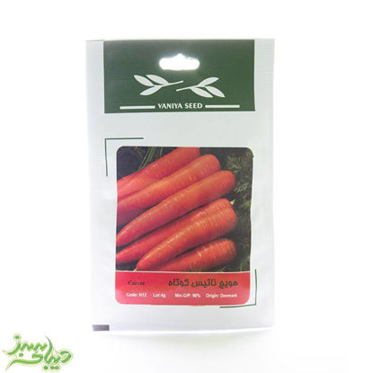 تصویر  بذر هویج ناتیس کوتاه