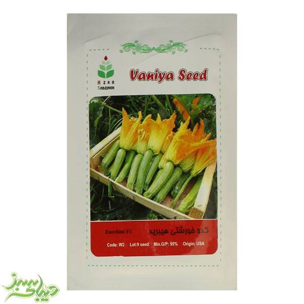 تصویر  بذر کدو خورشتی هیبرید