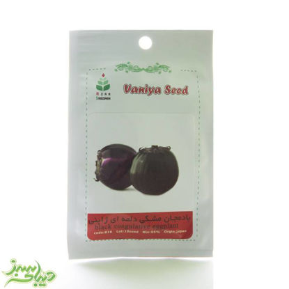 تصویر  بذر بادمجان مشکی دلمه ای ژاپنی