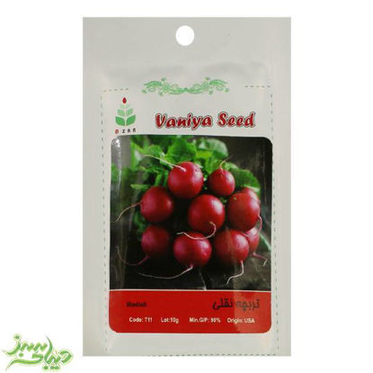 تصویر  بذر تربچه نقلی