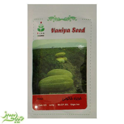 تصویر  بذر خربزه خاتونی