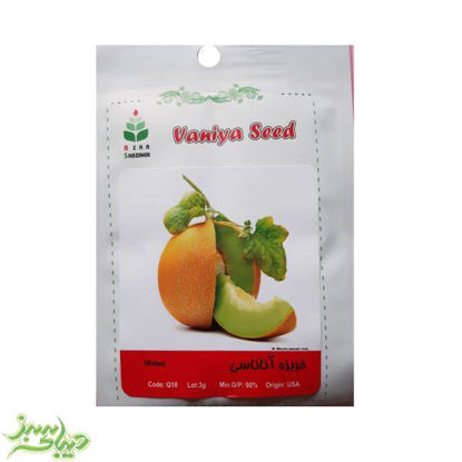 تصویر  بذر خربزه آناناسی