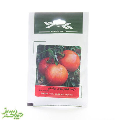 بذر-گوجه-فرنگی-قرمز-بوته-ای