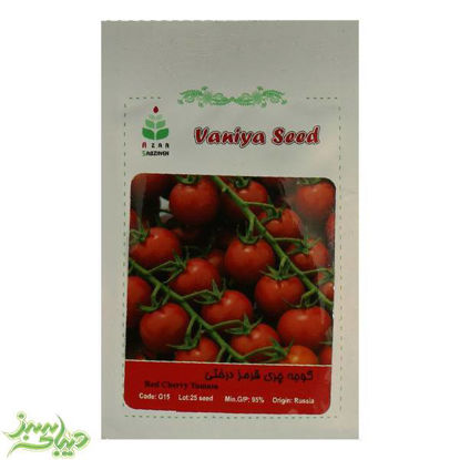 تصویر  بذر گوجه چری قرمز درختی