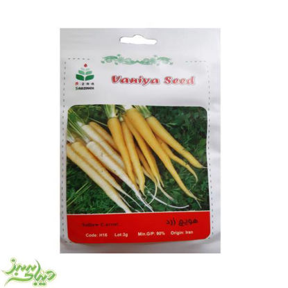تصویر  بذر هویج زرد