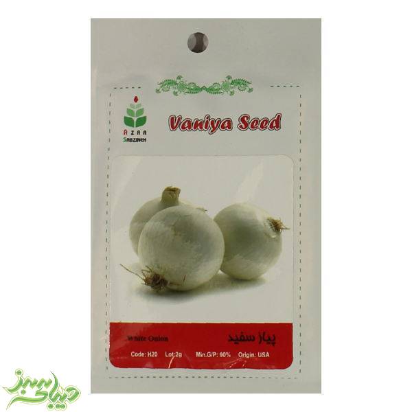 تصویر  بذر پیاز سفید
