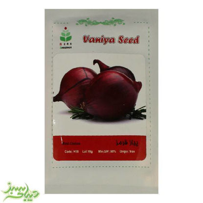 تصویر  بذر پیاز قرمز