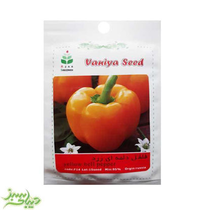 تصویر  بذر فلفل دلمه ای زرد