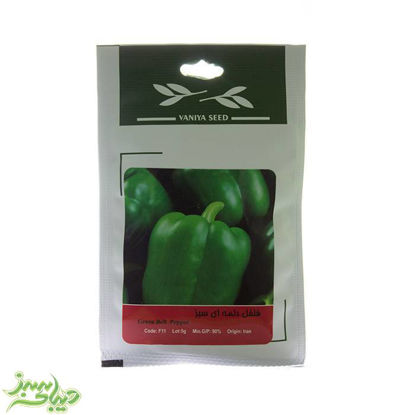 تصویر  بذر فلفل دلمه ای سبز