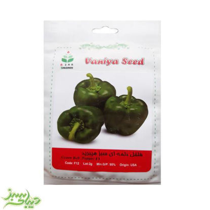 تصویر  بذر فلفل دلمه ای سبز هیبرید