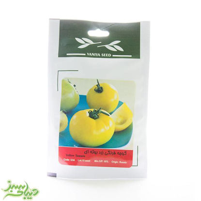 بذر-گوجه-فرنگی-زرد-بوته-ای