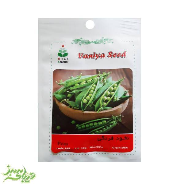 تصویر  بذر نخود فرنگی