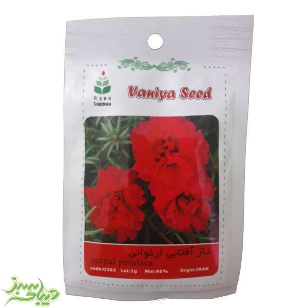 تصویر  بذر ناز آفتابی ارغوانی