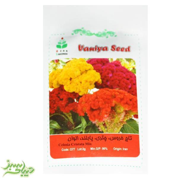 تصویر  بذر تاج خروس ، چتری ، پابلند ، الوان