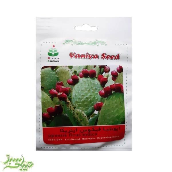 تصویر  بذر اپونتیا فیکوس اینریکا