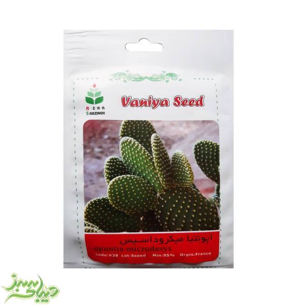 تصویر  بذر اپونتیا میکرود اسیس
