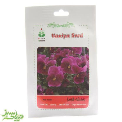 تصویر  بذر بنفشه قرمز