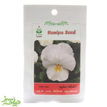 تصویر  بذر بنفشه سفید