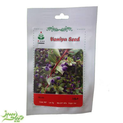 تصویر  بذر مورد