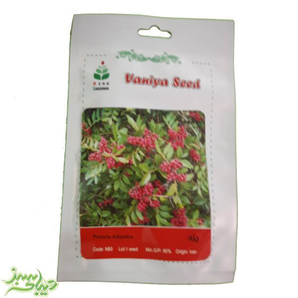 تصویر  بذر بنه