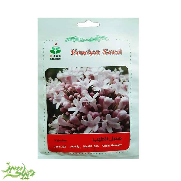 تصویر  بذر سنبل الطیب