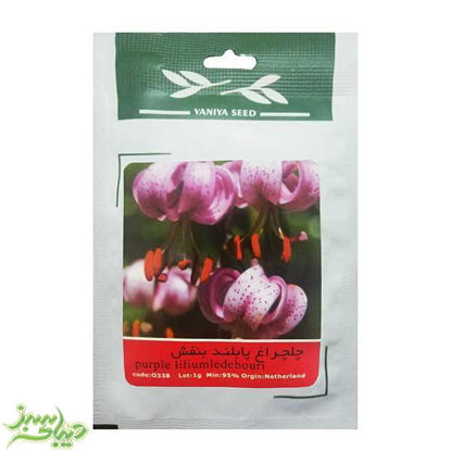 تصویر  بذر چلچراغ پابلند بنفش