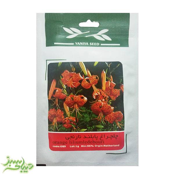 تصویر  بذر چلچراغ پابلند نارنجی