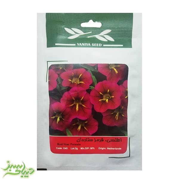 تصویر  بذر اطلسی ، قرمز ستاره ای