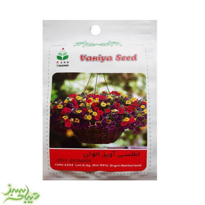 تصویر  بذر اطلسی آویز الوان