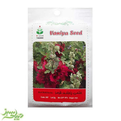 تصویر  بذر ختمی ، پابلند ، قرمز