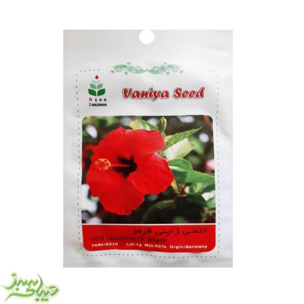 تصویر  بذر ختمی ژاپنی قرمز