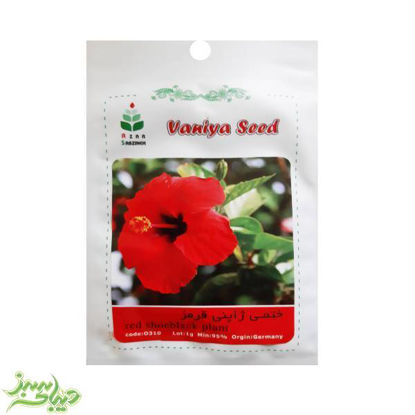 تصویر  بذر ختمی ژاپنی قرمز