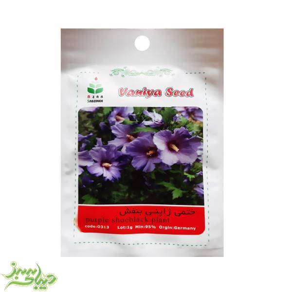 تصویر  بذر ختمی ژاپنی بنفش